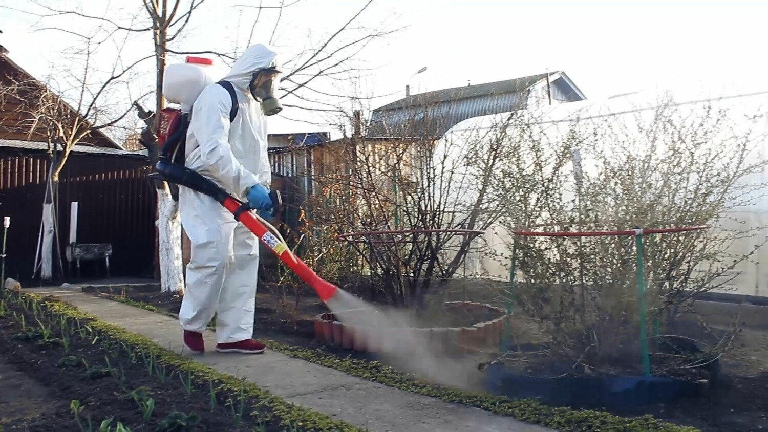 ФОТО Уничтожение муравьёв в рабочем поселке Московской области Ржавки