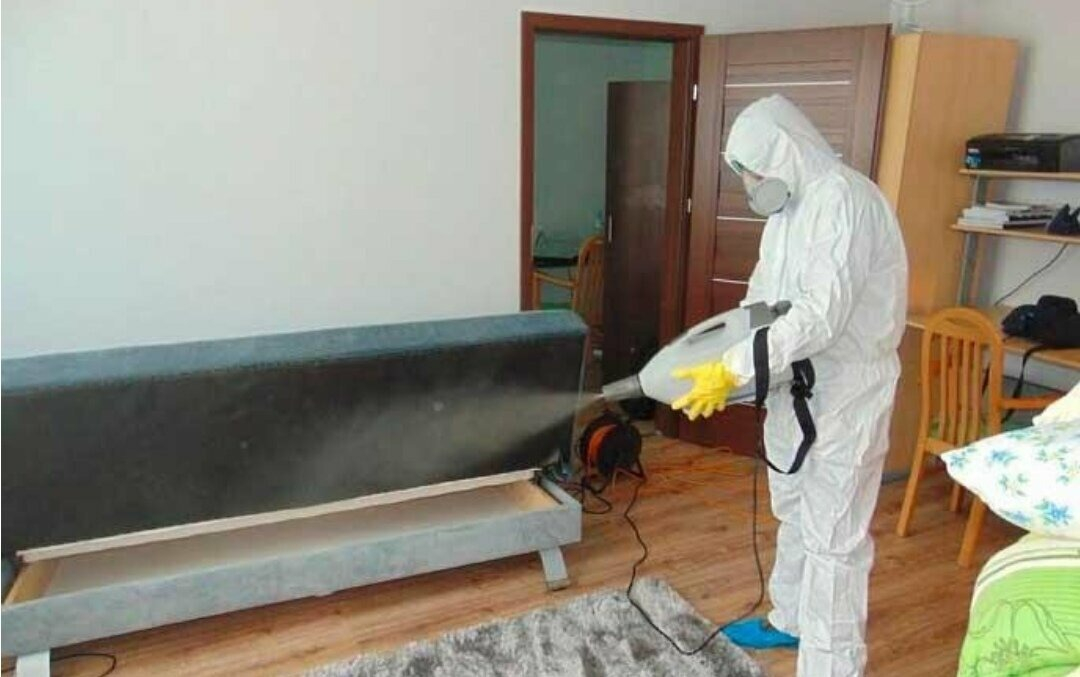 ФОТО Уничтожение блох в рабочем поселке Московской области Ржавки