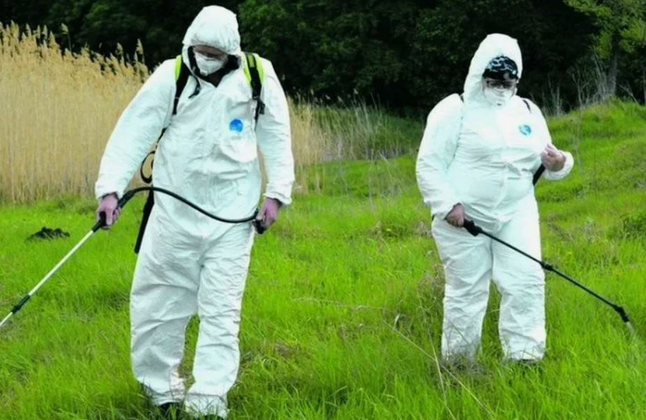 ФОТО Обработка от клещей в рабочем поселке Московской области Ржавки