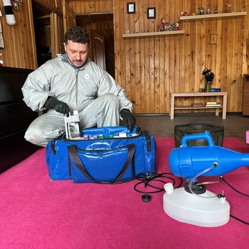 ФОТО Дератизация в рабочем поселке Московской области Ржавки