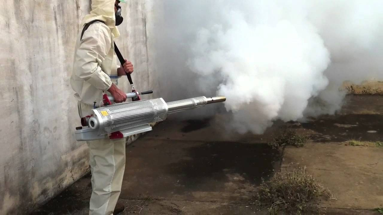 ФОТО Уничтожение мух в рабочем поселке Московской области Ржавки