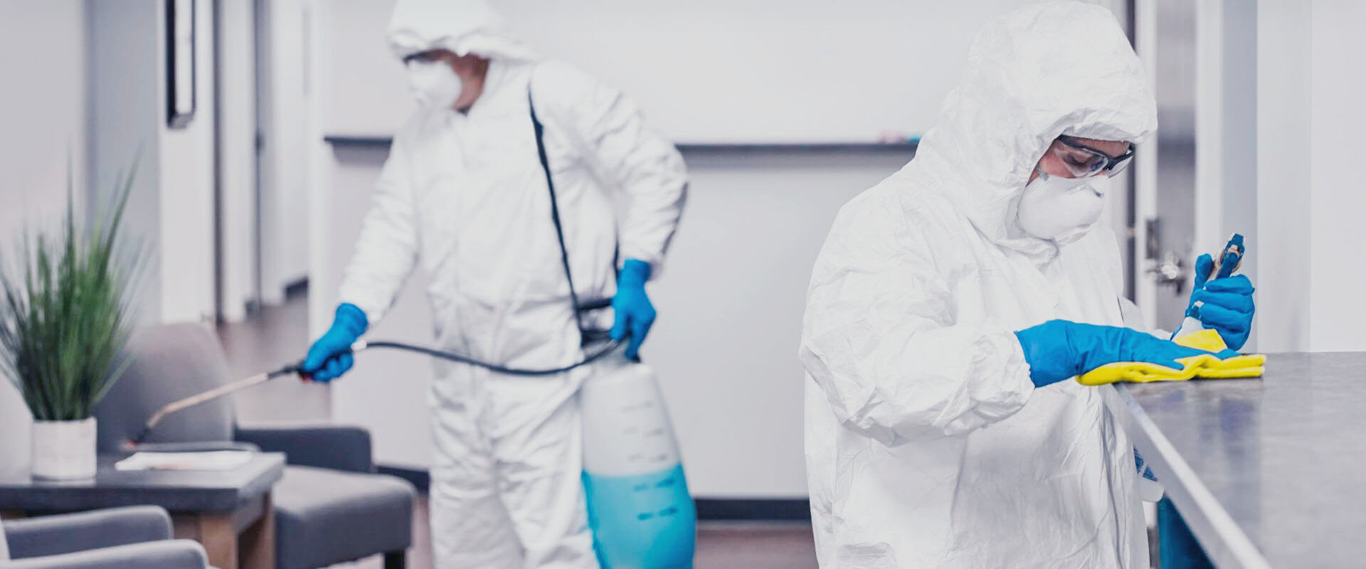 ФОТО В чем разница между дезинфекцией и дезинсекцией в рабочем поселке Московской области Ржавки? | подробно