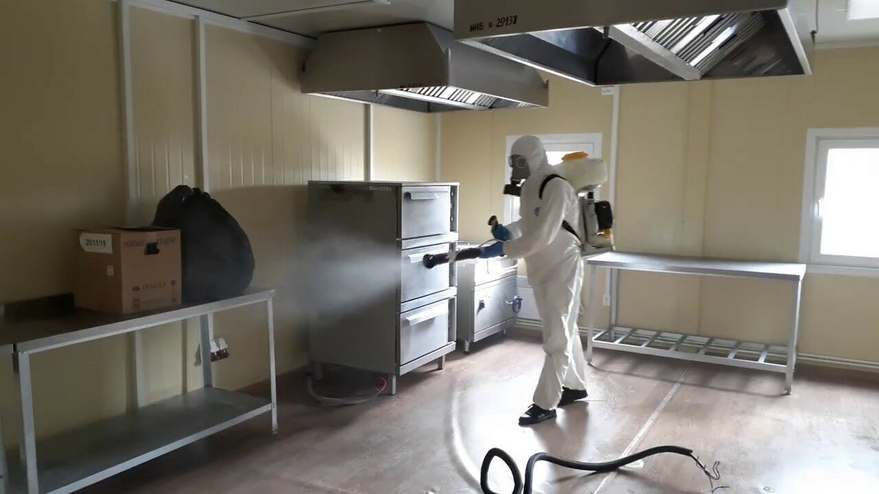 ФОТО Можно ли провести дезинсекцию самостоятельно и какие существуют риски в рабочем поселке Московской области Ржавки? | подробно