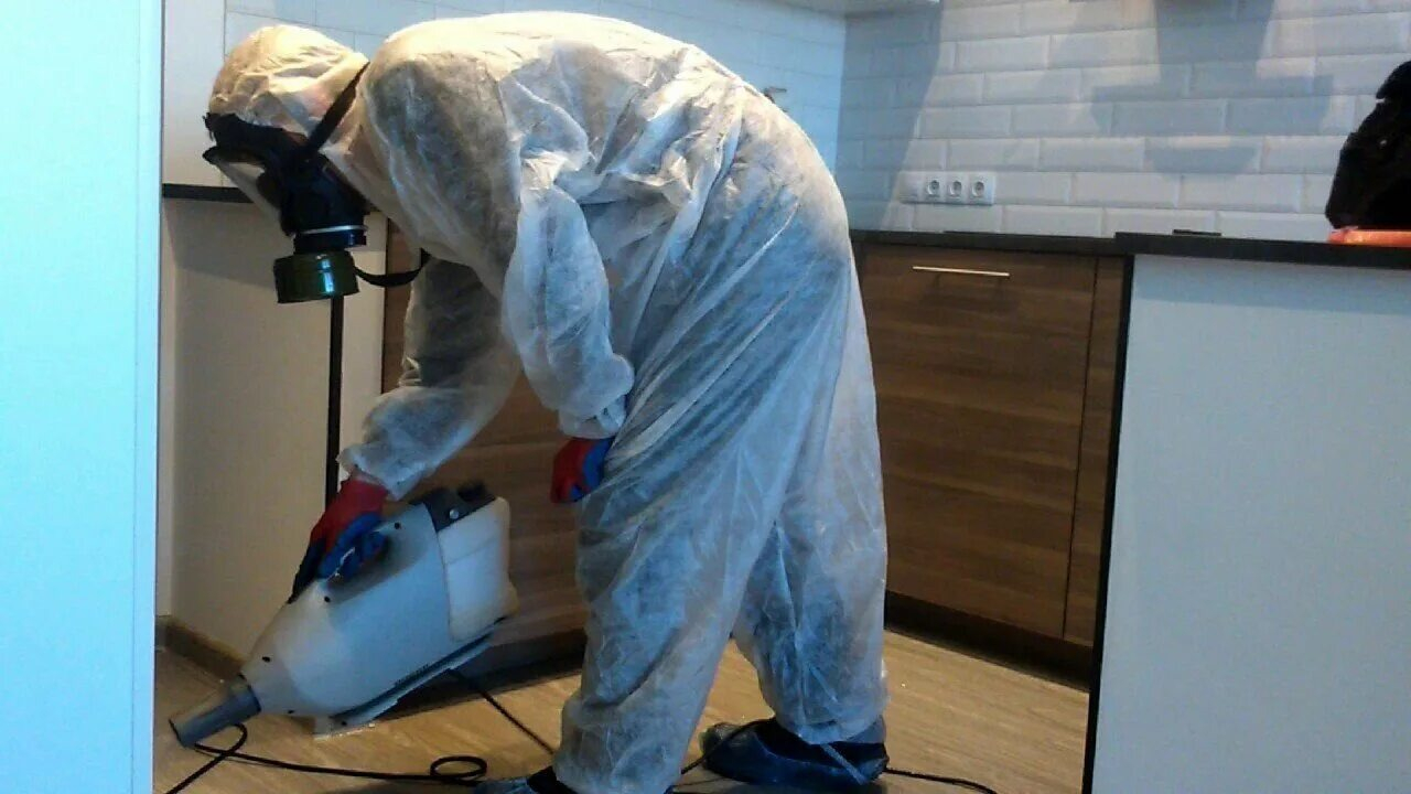 ФОТО Как подготовить домашних животных к обработке от насекомых в рабочем поселке Московской области Ржавки? | подробно