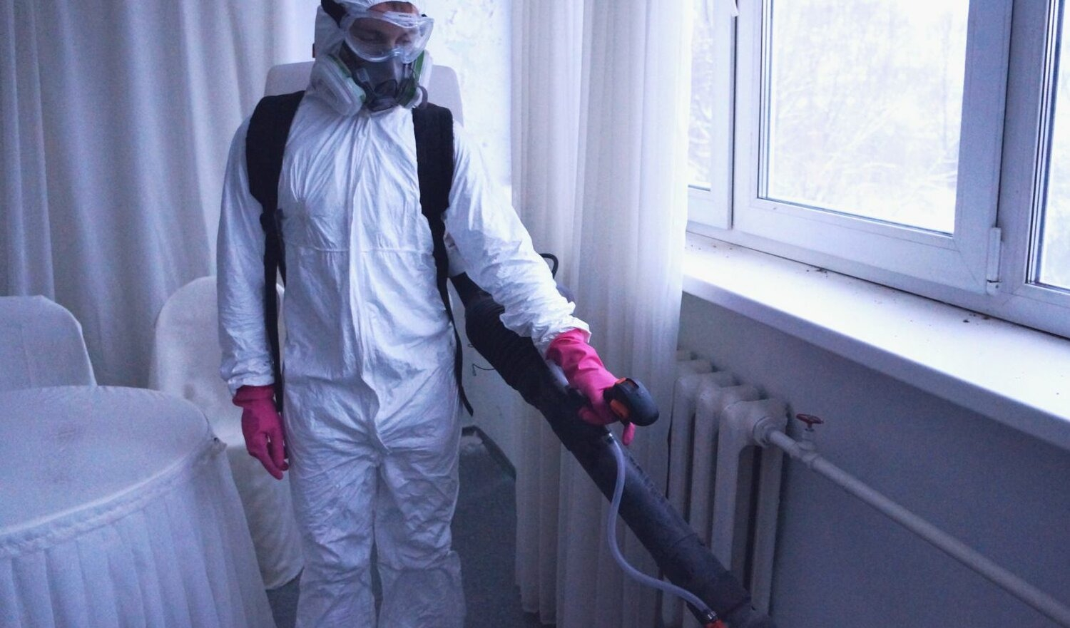 ФОТО Нужно ли выносить растения при дезинсекции в рабочем поселке Московской области Ржавки? | подробно