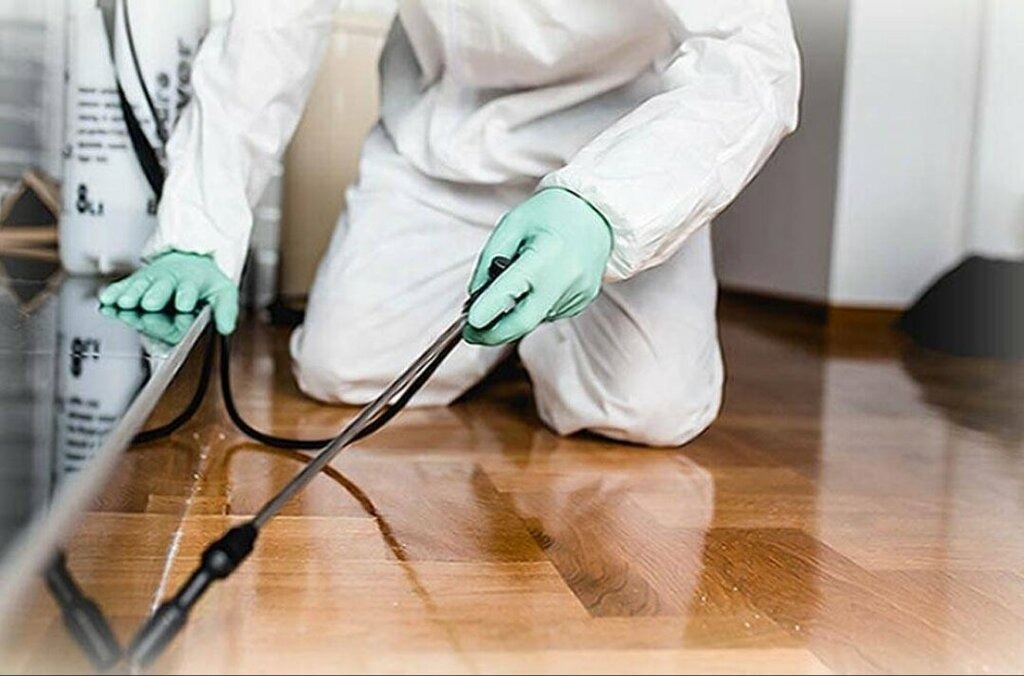 ФОТО Как подготовить вентиляцию при предстоящей дезинсекции в рабочем поселке Московской области Ржавки?