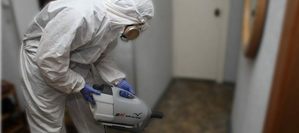 ФОТО Остаются ли следы после обработки квартиры от насекомых в рабочем поселке Московской области Ржавки? | подробно