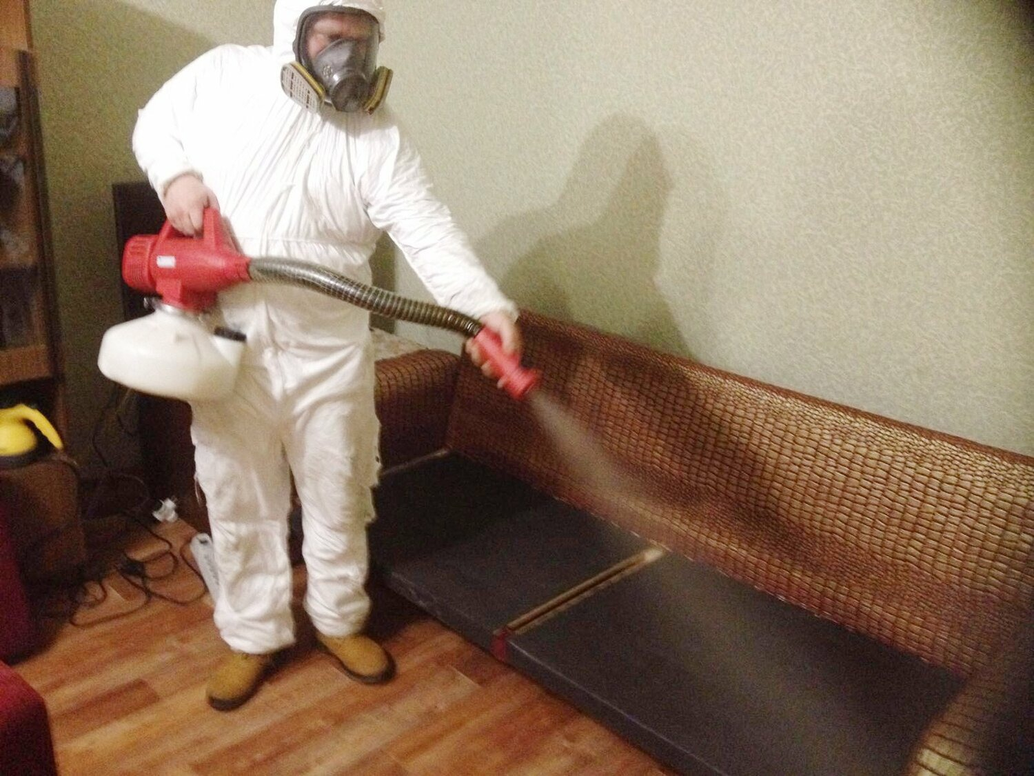 ФОТО Когда можно вернуться в помещение после дезинсекции в рабочем поселке Московской области Ржавки? | подробно