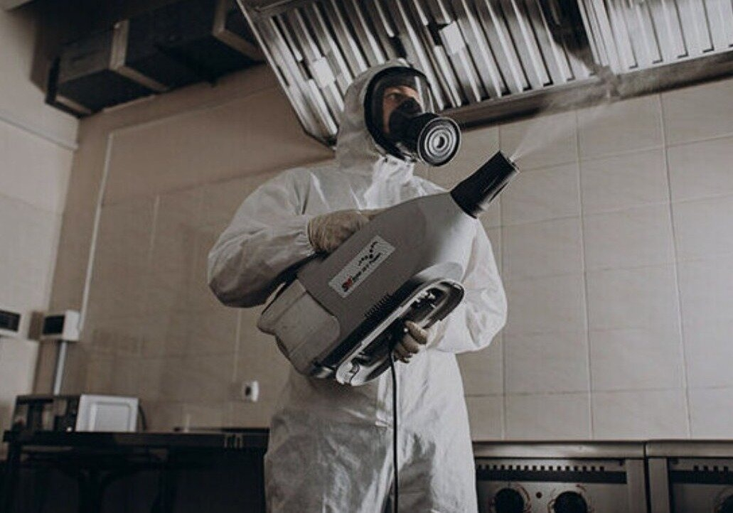 ФОТО Как проветривать помещение после обработки от насекомых в рабочем поселке Московской области Ржавки? | подробно