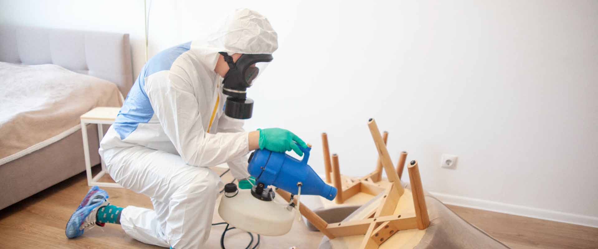 фото: Уничтожение постельных клопов с 1-го раза с гарантией за 30-60 мин. в рабочем поселке Московской области Ржавки без предоплаты