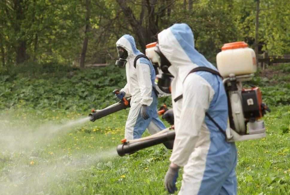 фото: Профессиональное уничтожение мух в рабочем поселке Московской области Ржавки: <br/>+7-909-173-42-96